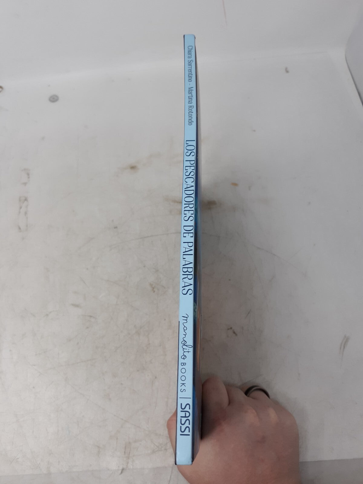 Los Pescadores de Palabras by Chiara Sorrentino & Michael Rotondo (Hardcover)