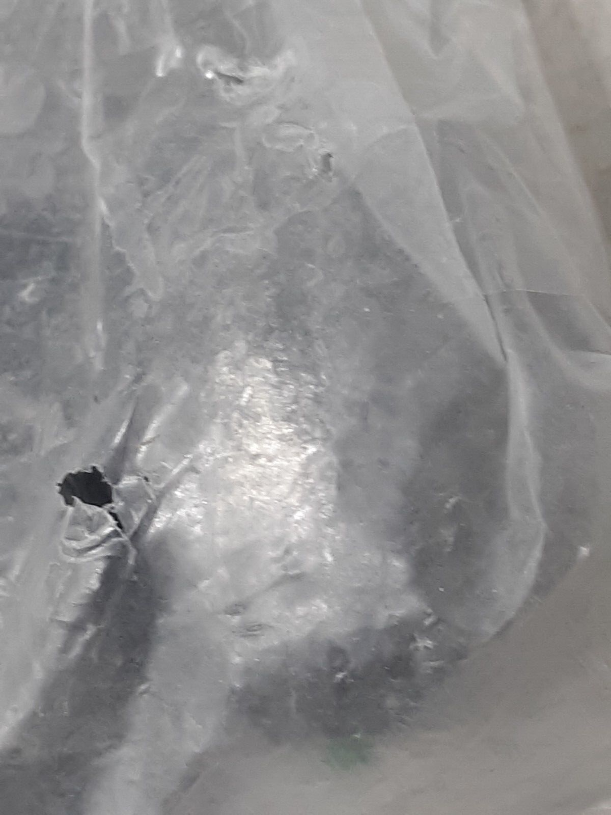 Catfish Sumo 6oz Egg Lead Sinker Weights with Line-Protecting Inserts