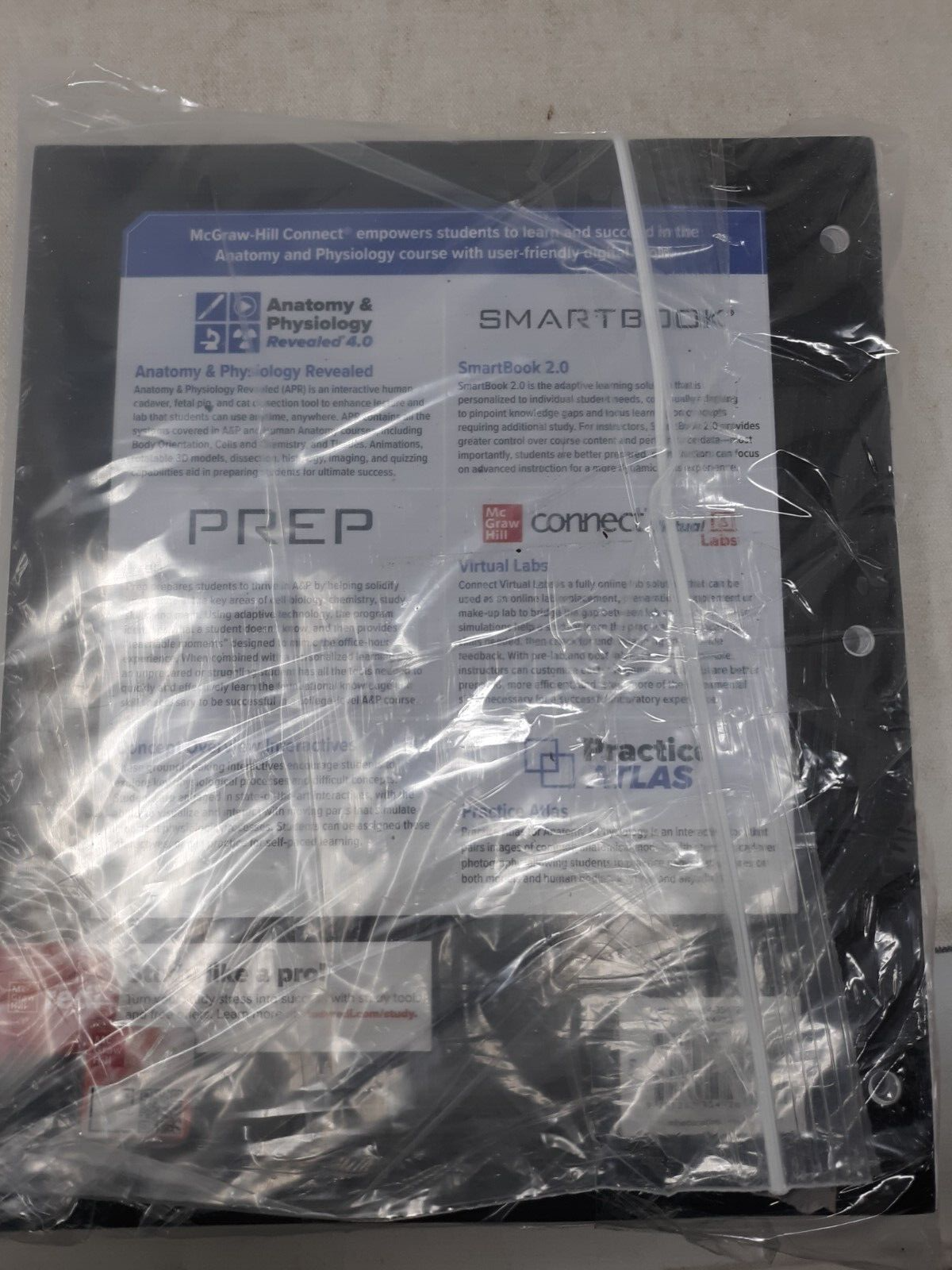 Loose Leaf for Human Physiology by Krista Rompolski and Stuart Ira Fox (2021)