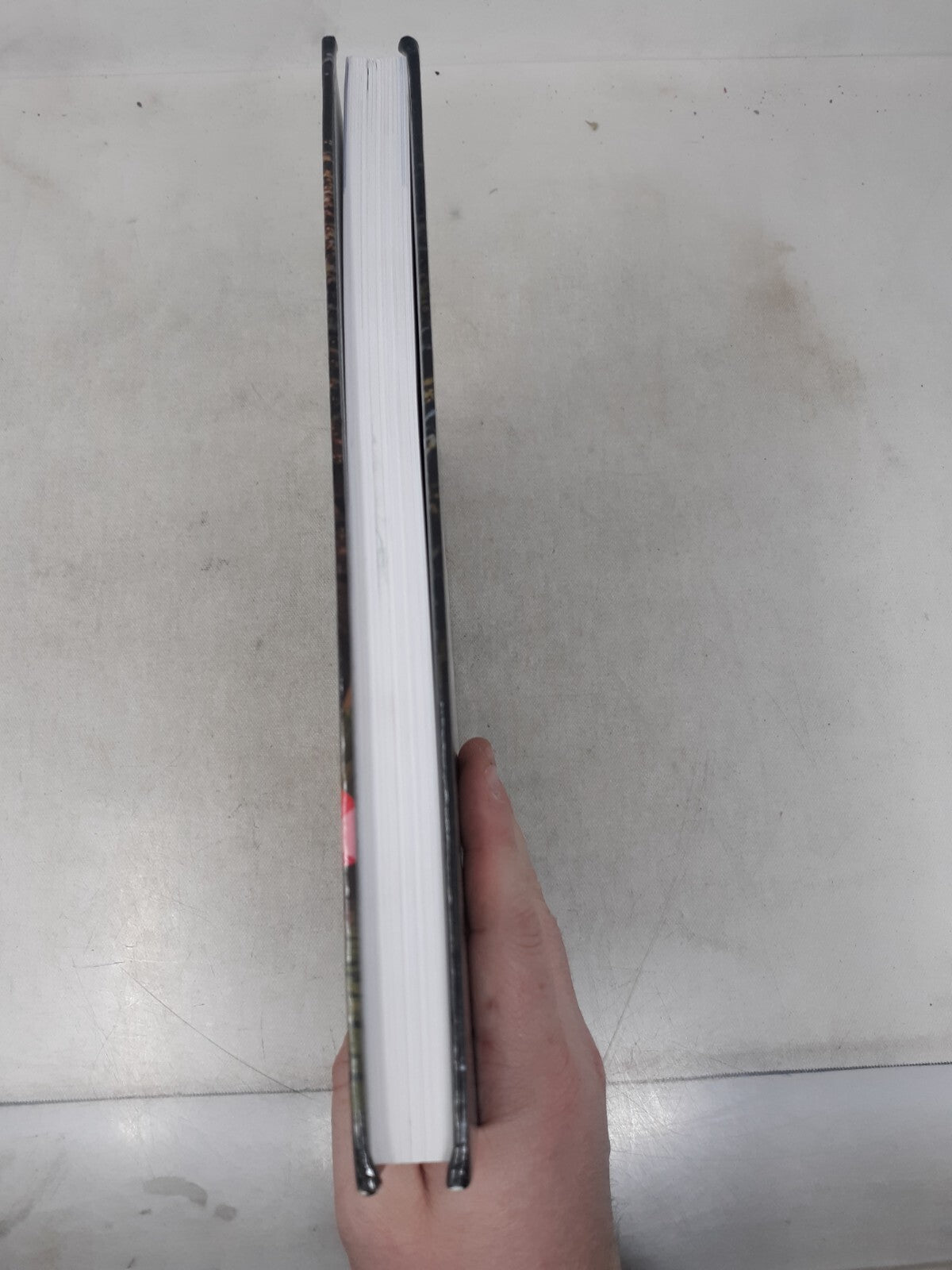 Human Geography Landscapes of Human Activities AP 13th Edition