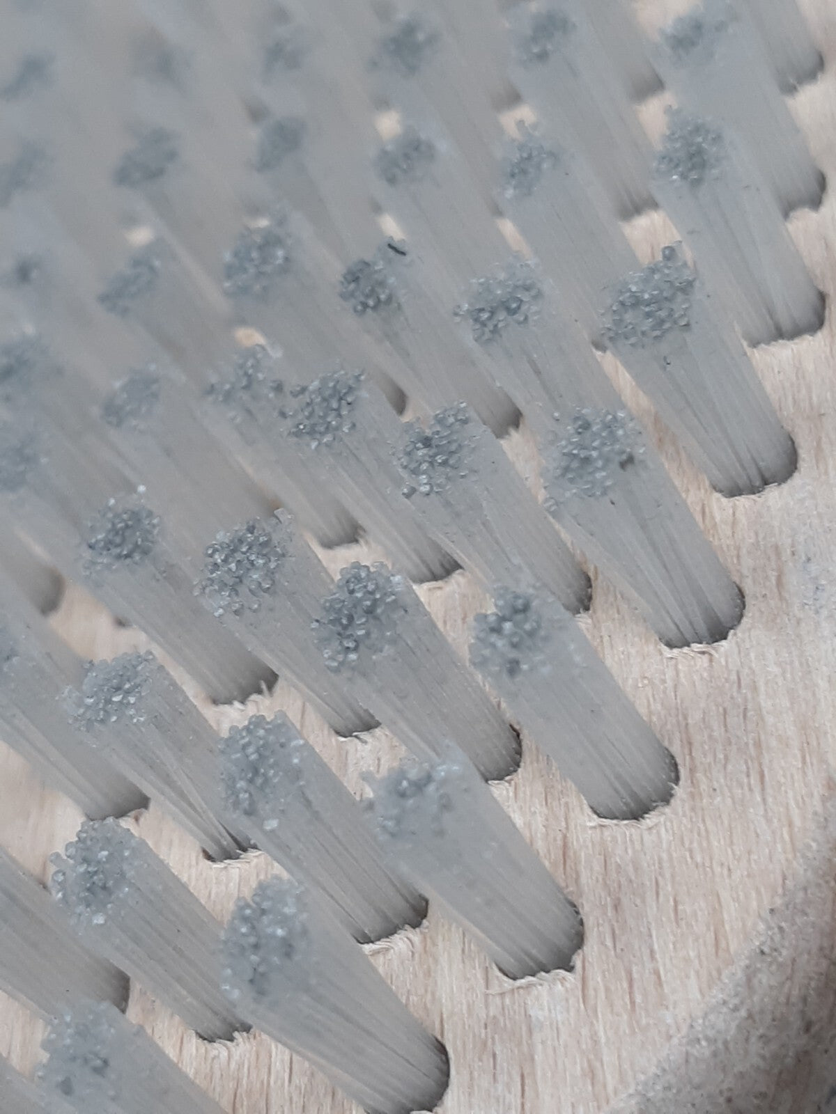 Wintersteiger Oval Nylon Base Brush | Professional Ski Snowboard Waxing Tools