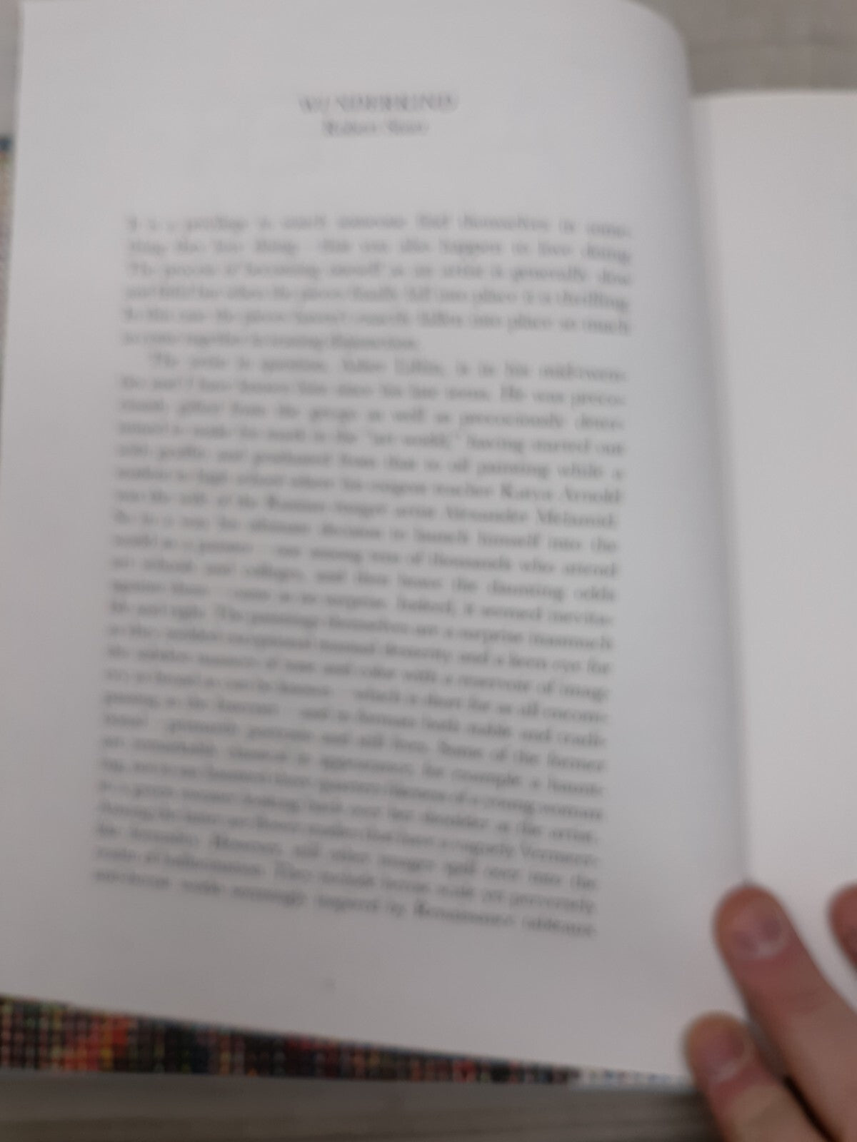 Asher Liftin: Error Signals (Hardcover, Nino Mier Gallery, Art Book)