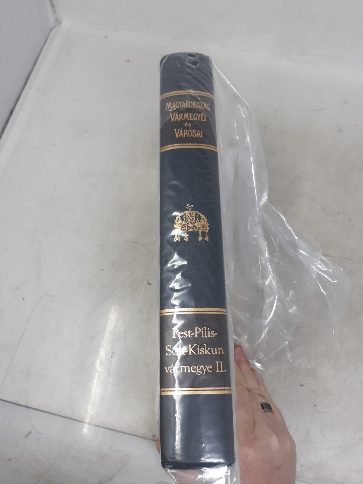 Magyarország vármegyéi és városai. Pest-Pilis-Solt-Kiskun Varmegye II