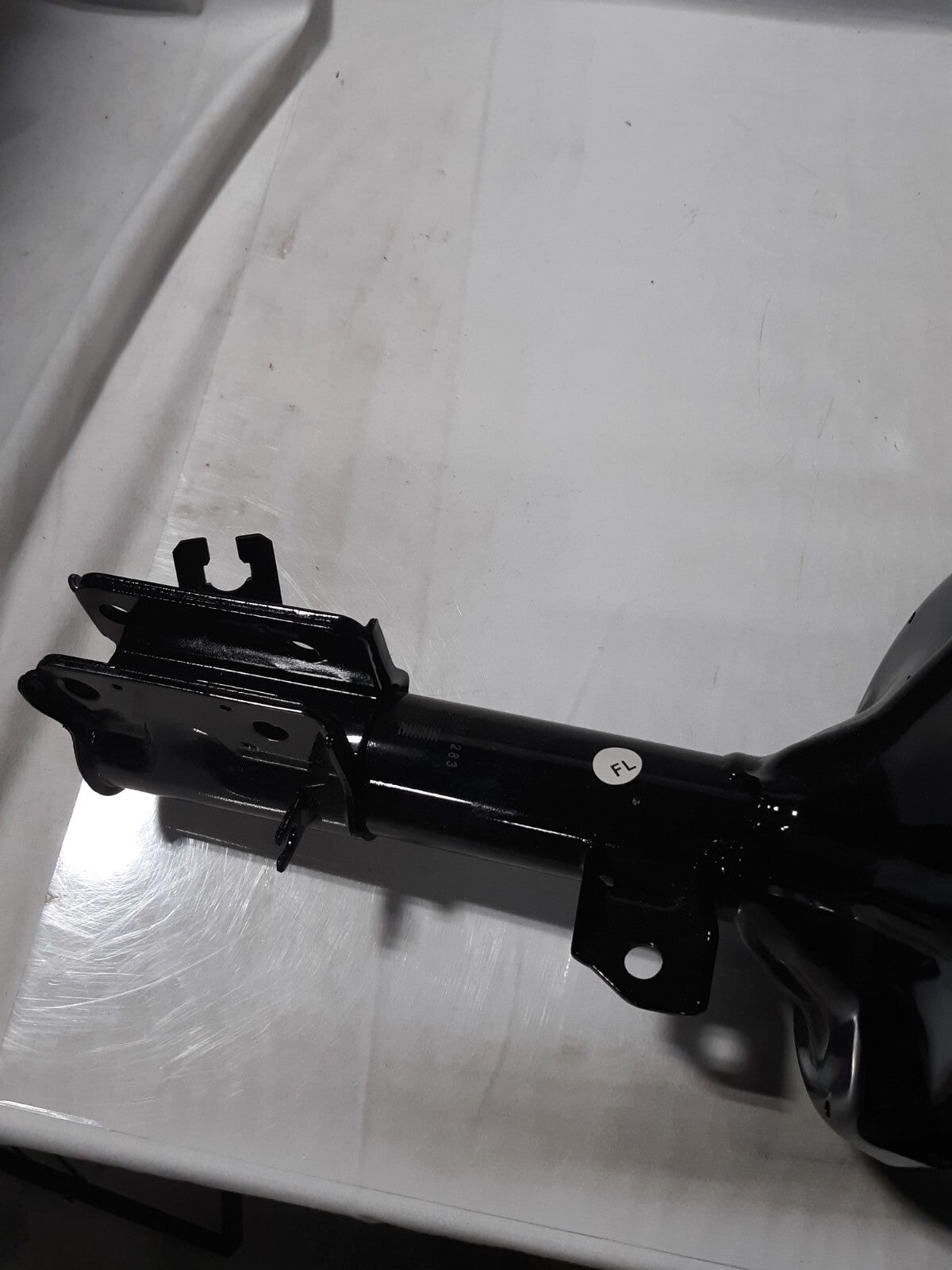 Suspension Strut and Coil Spring Assembly 2009250042