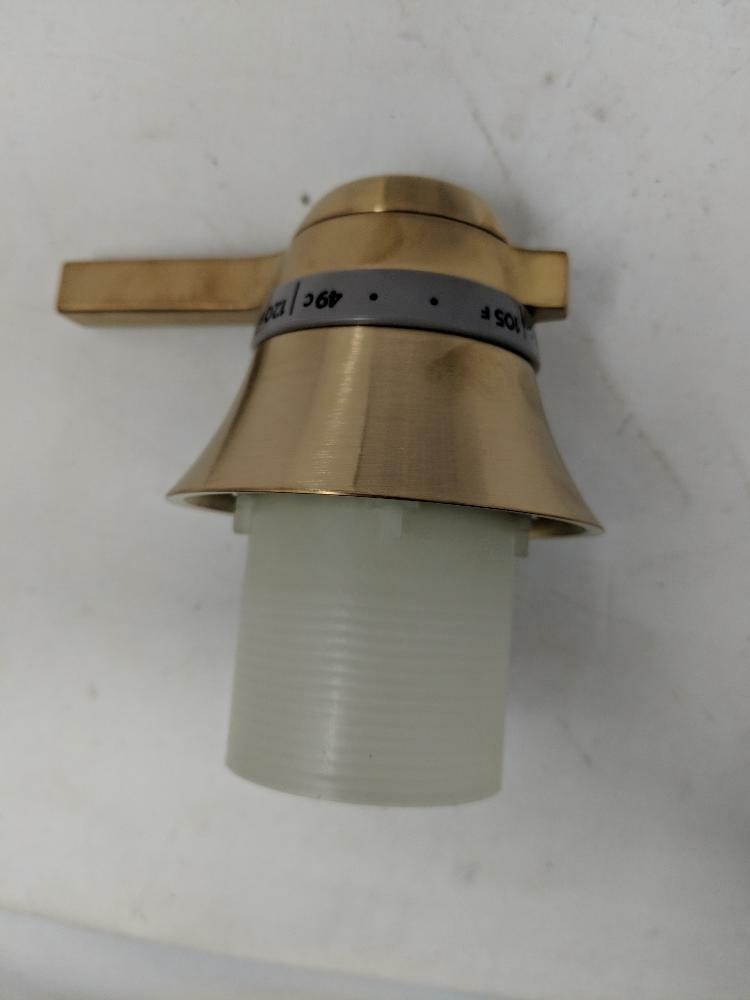 Moen - 197594BG - Handle kit