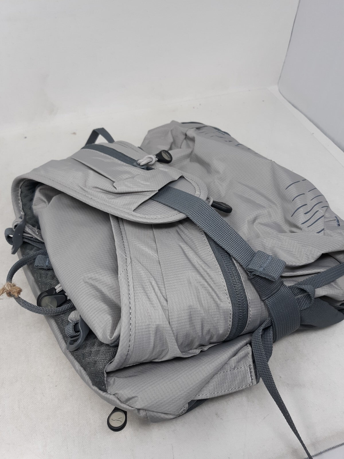 ALPS Mountaineering Canyon 20 L Backpack