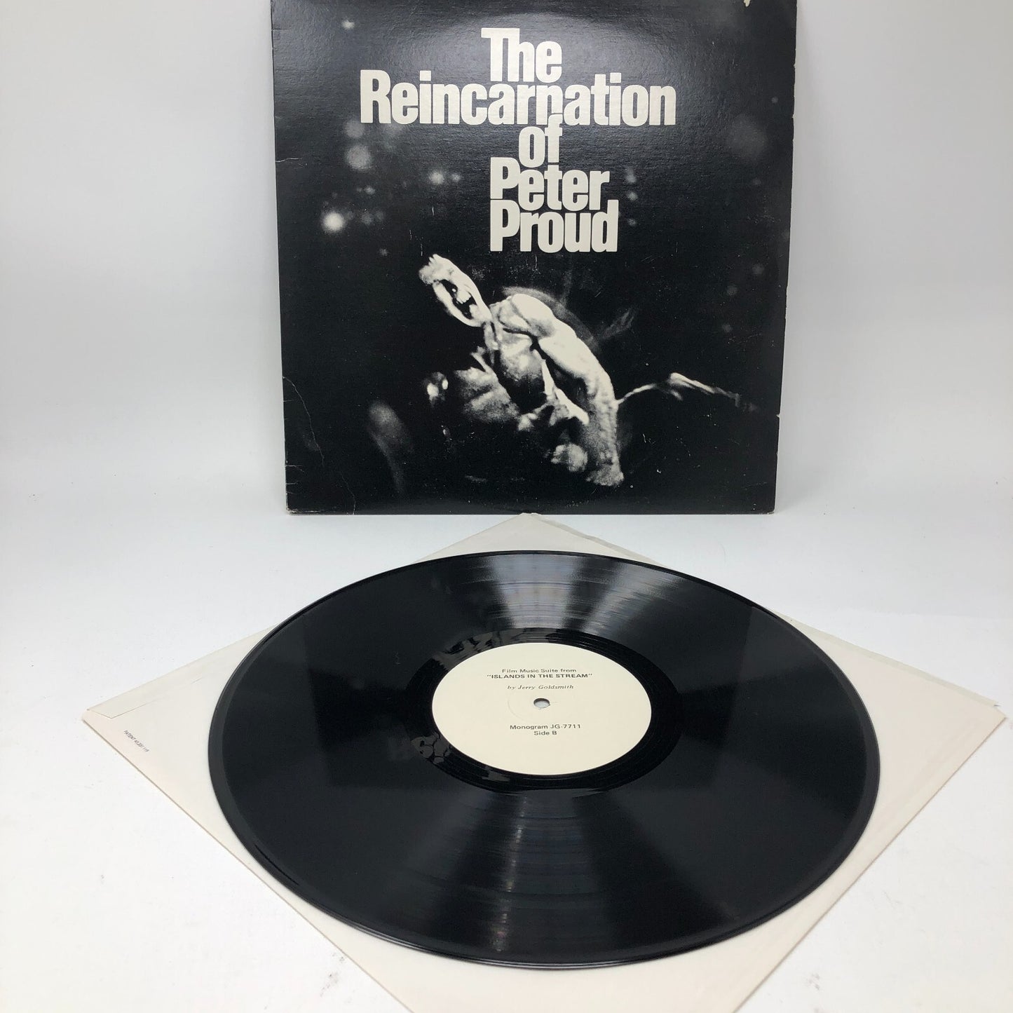 The Reincarnation of Peter Proud Vinyl