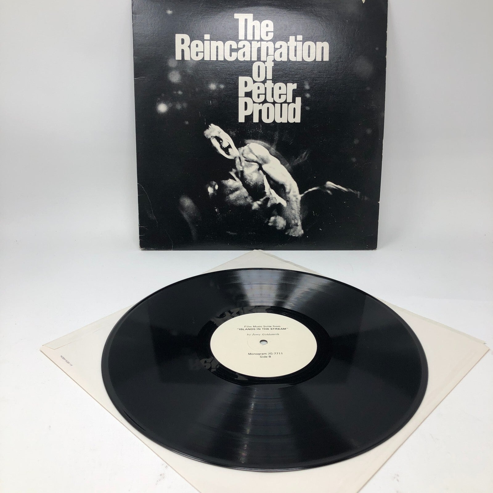 The Reincarnation of Peter Proud Vinyl