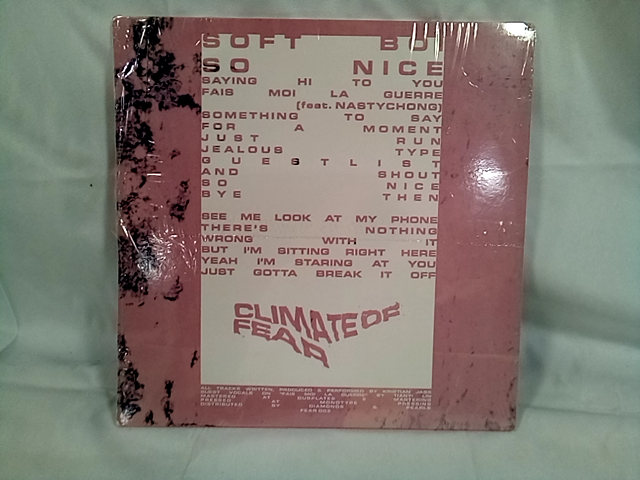 Soft boi so nice LP Vinyl