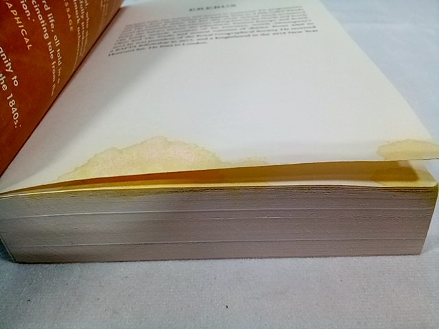 Erebus: the Story of a Ship by MICHAEL PALIN - has Water Marks