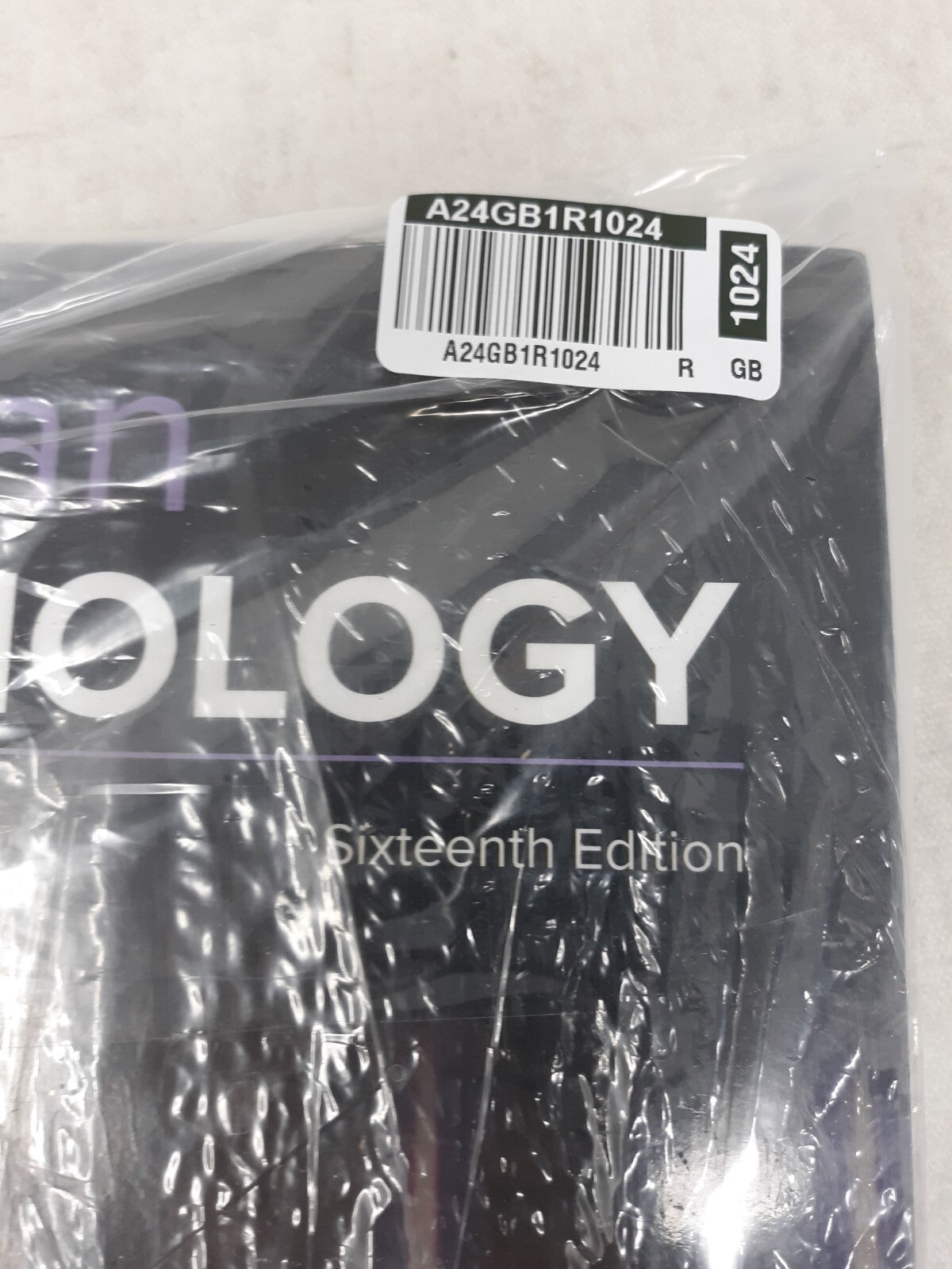 Loose Leaf for Human Physiology by Krista Rompolski and Stuart Ira Fox (2021)