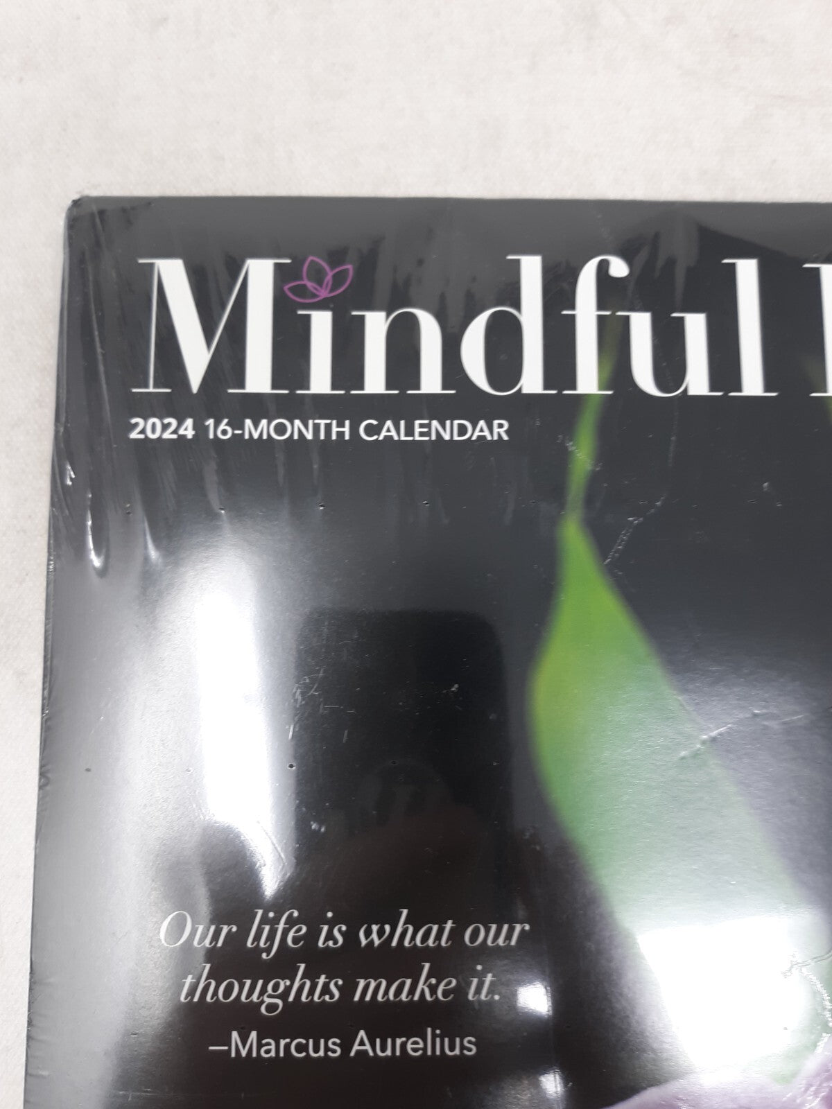 Mindful Living | 2024 12x24" Monthly Square Wall Calendar