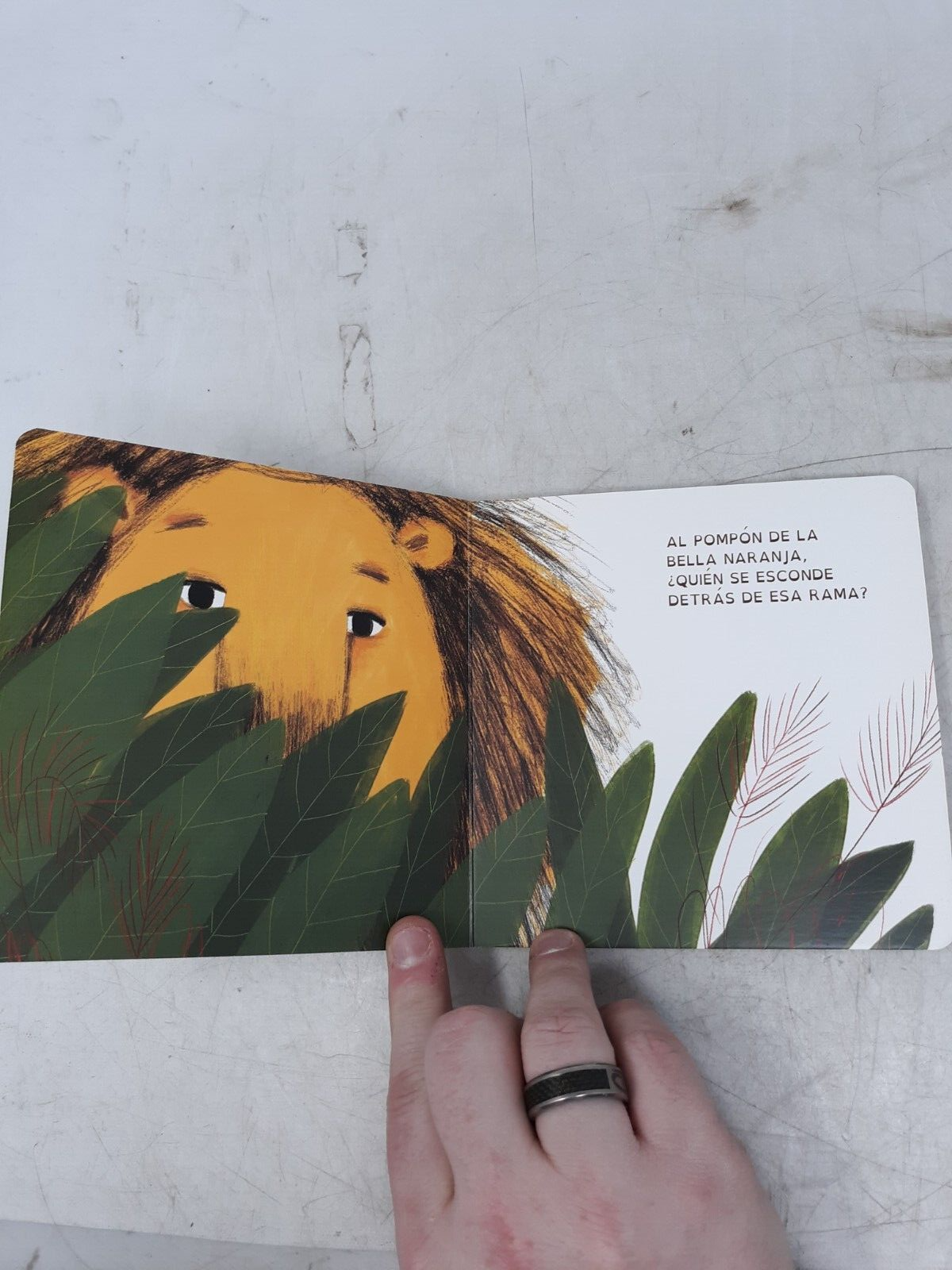 Al Pompón Board Book - Verónica Álvarez Rivera - Spanish - Nube de Algodón Colle