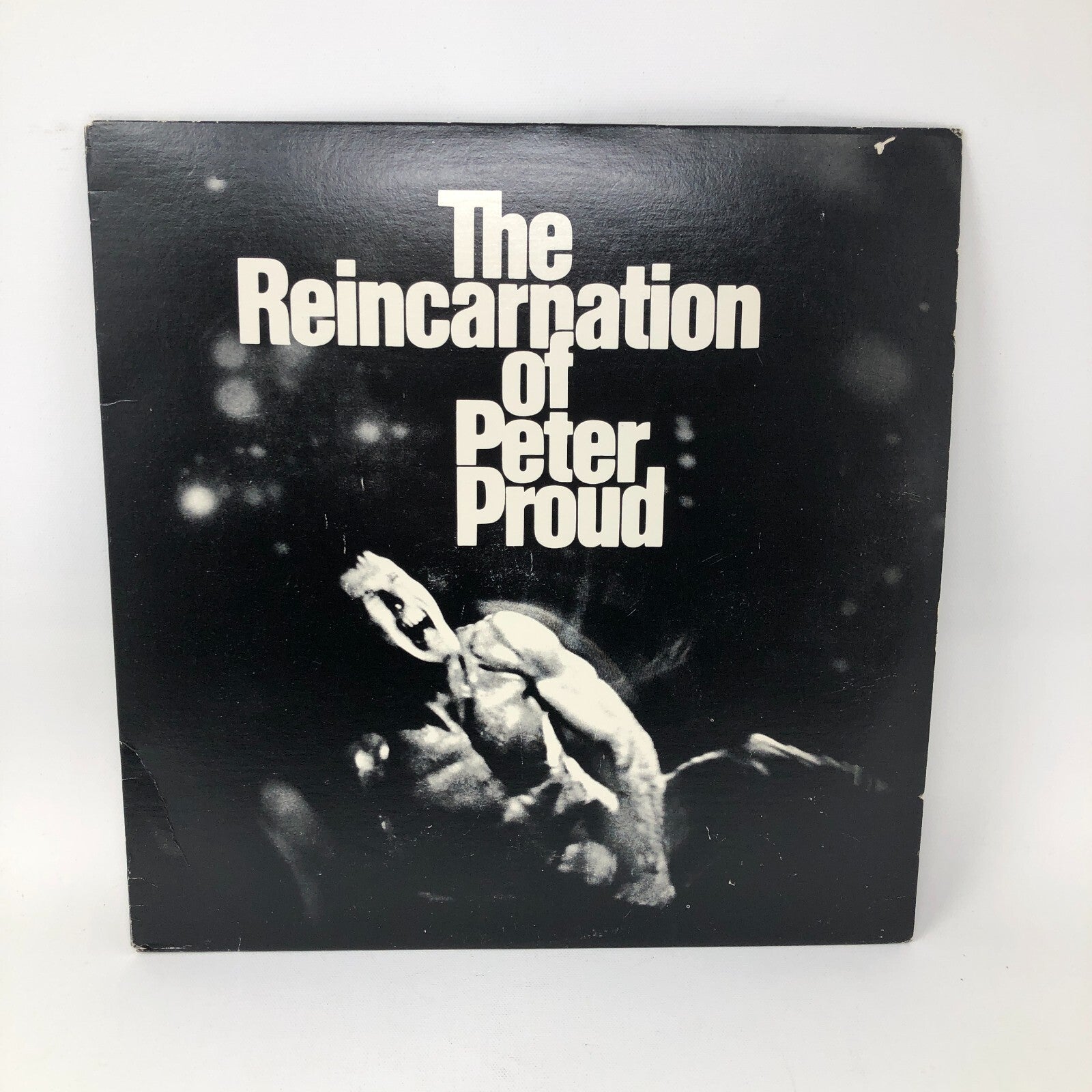 The Reincarnation of Peter Proud Vinyl