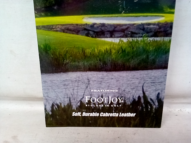 Foot Joy Shadow Wood Men's Cadet Medium 96652E Left, Pearl Color