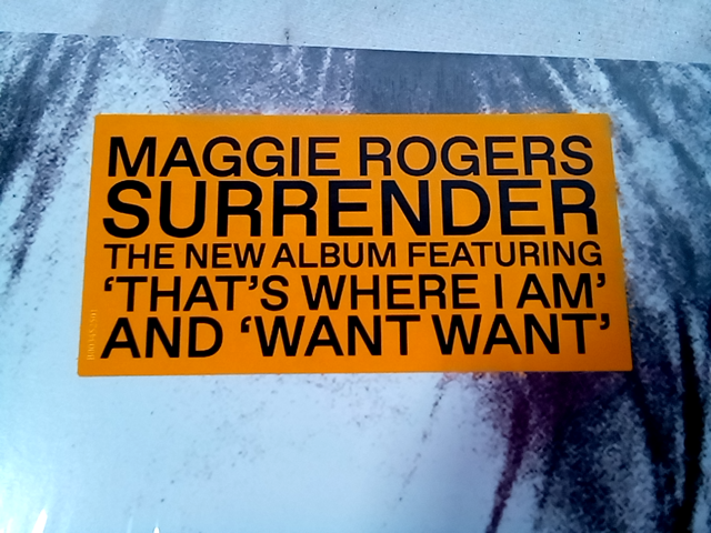 Maggie Rogers - Surrender (Target Exclusive, Vinyl) Record - Parental Advisory E