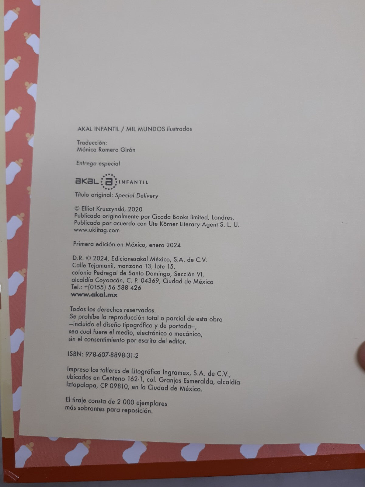 Entrega Especial by Elliot Kruszynski | Spanish Children’s Book | Akal Infantil