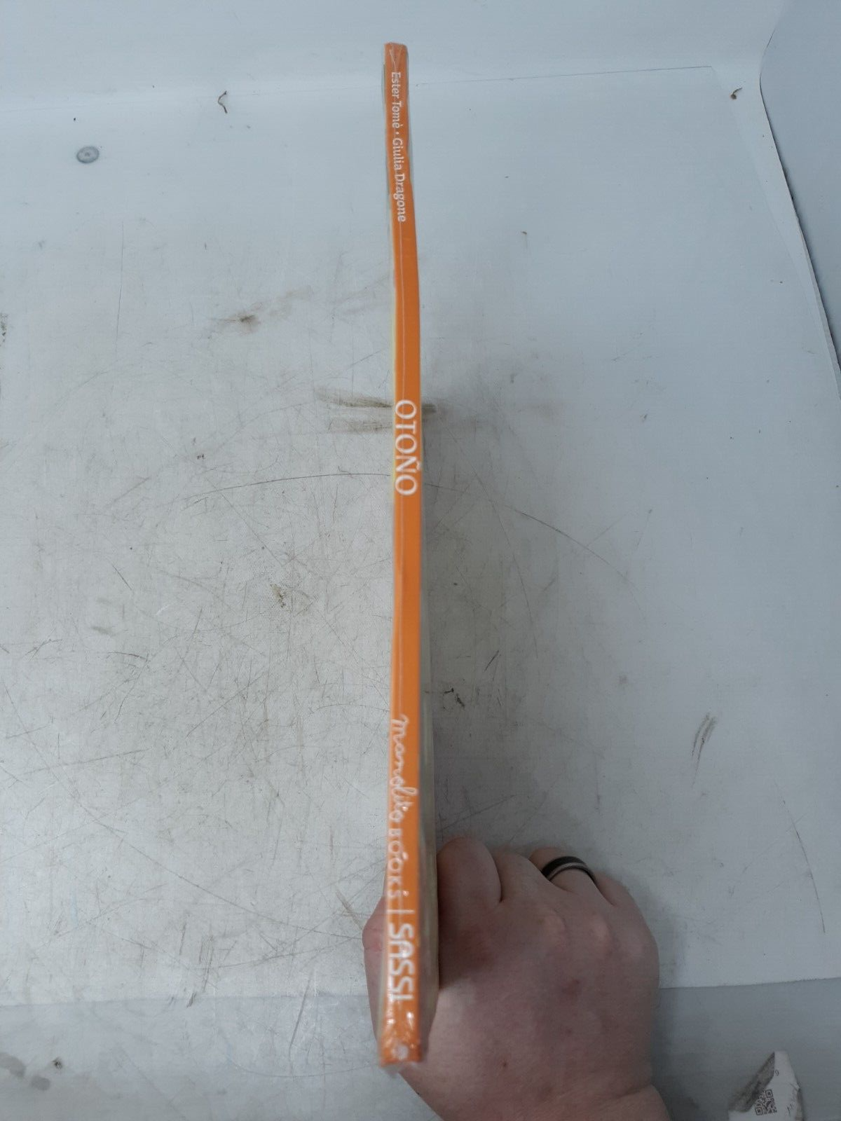 Otoño by Ester Tomé & Giulia Dragone | Spanish Children’s Book | Sassi