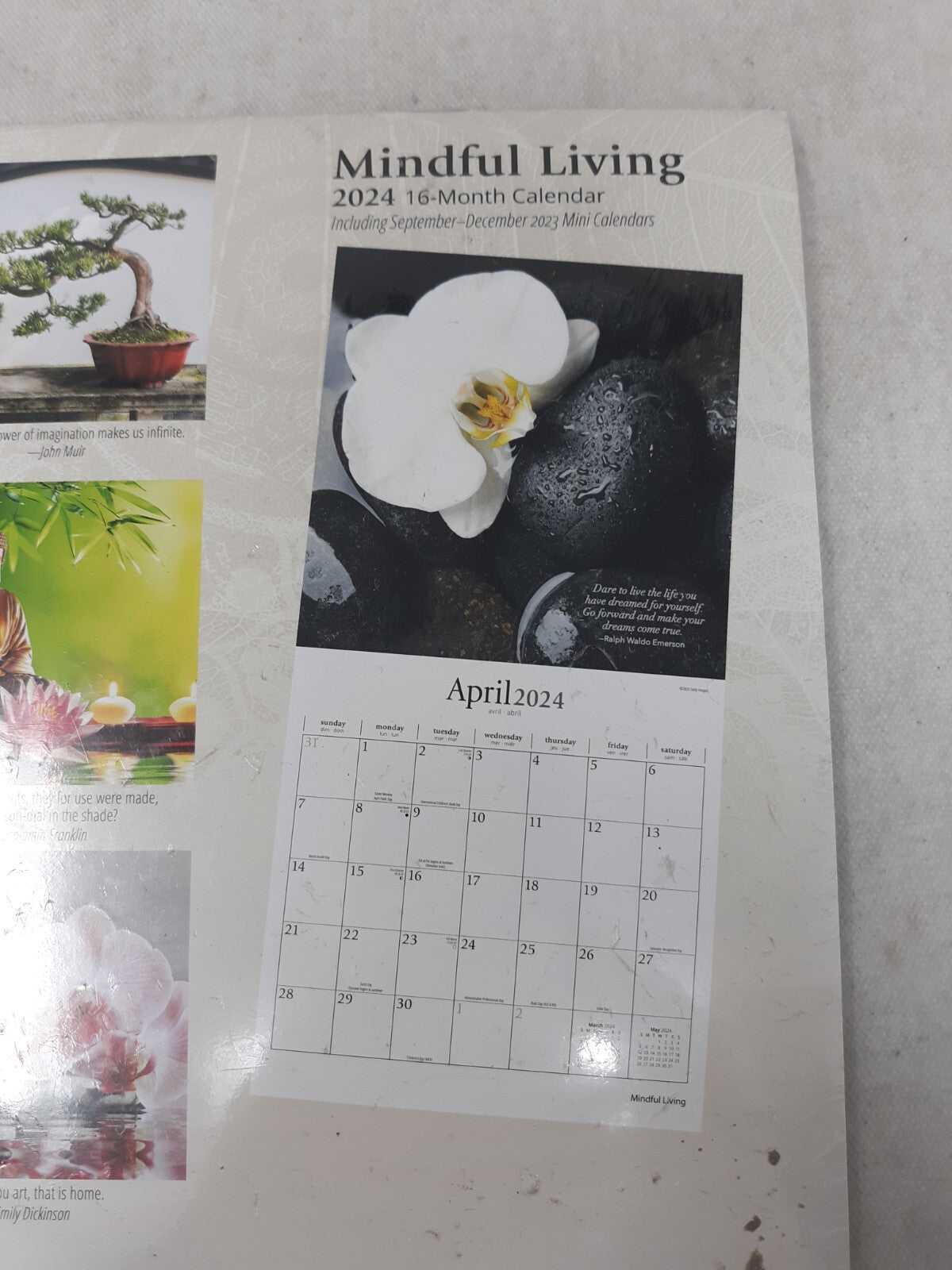 Mindful Living | 2024 12x24" Monthly Square Wall Calendar