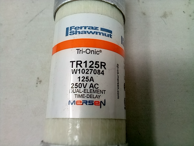 MERSEN/FERRAZ SHAWMUT TR125R Fuse  Time Delay  125A  TR-R Series  250V AC  250V 
