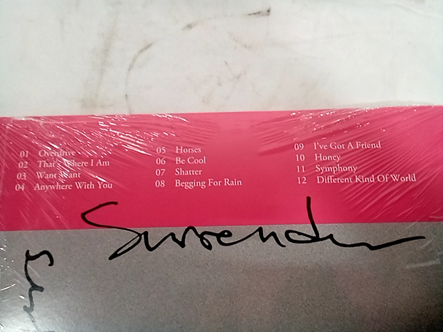 Maggie Rogers - Surrender (Target Exclusive, Vinyl) Record - Parental Advisory E