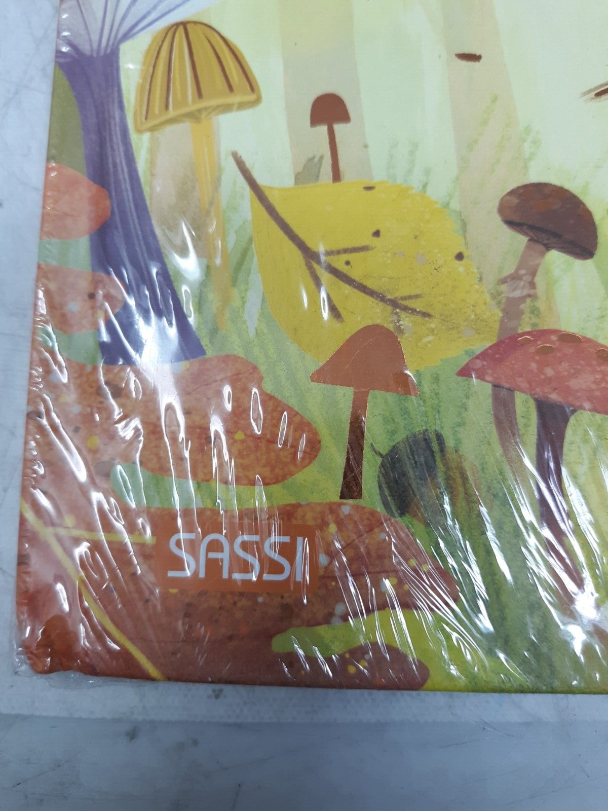 Otoño by Ester Tomé & Giulia Dragone | Spanish Children’s Book | Sassi