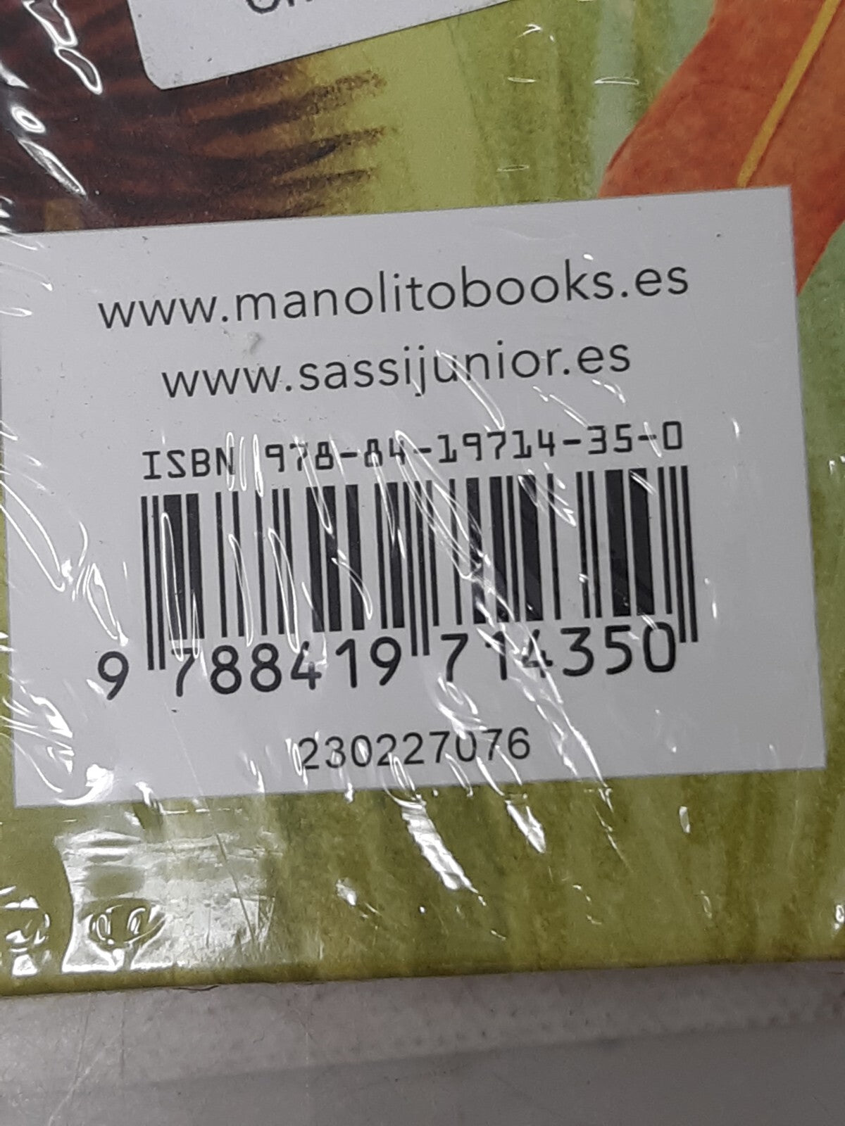 Otoño by Ester Tomé & Giulia Dragone | Spanish Children’s Book | Sassi