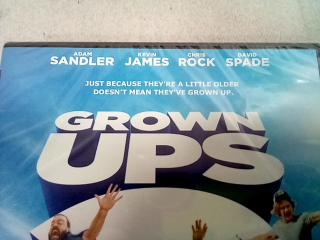 COLUMBIA TRISTAR HOME VIDEO Grown Ups 2 (DVD) - Rated PG13
