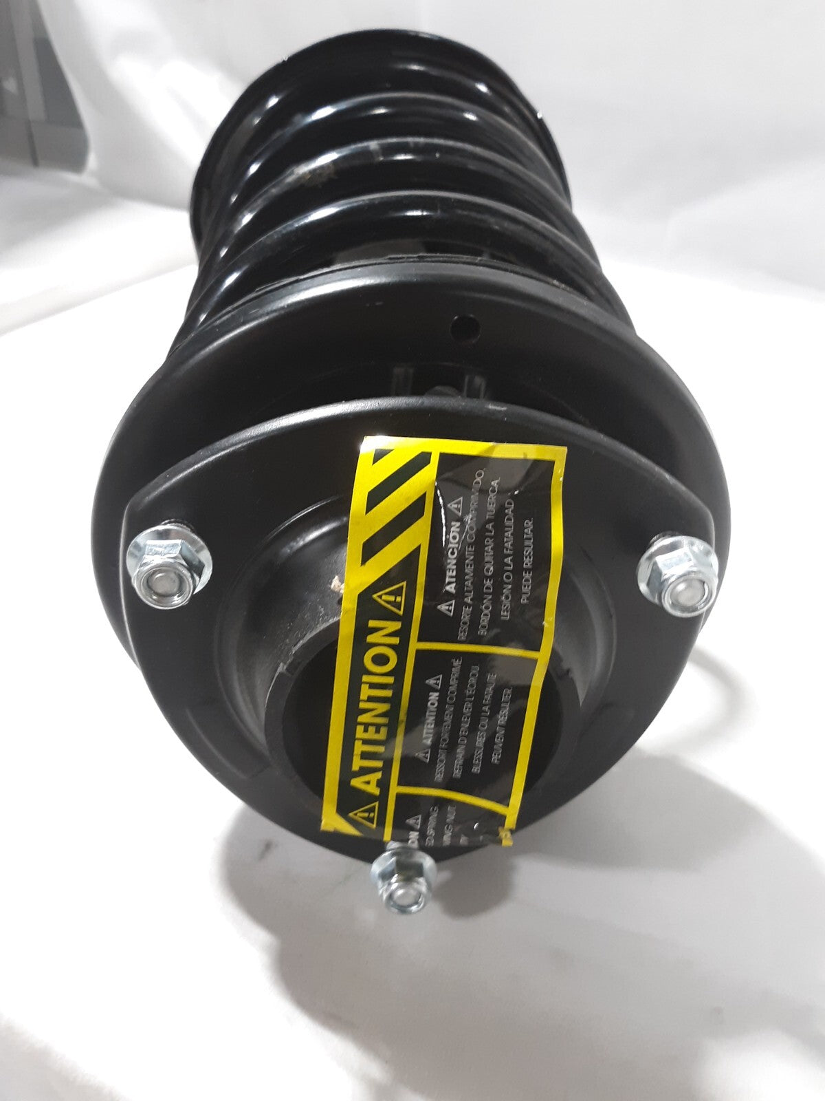 Suspension Strut and Coil Spring Assembly 2009250042
