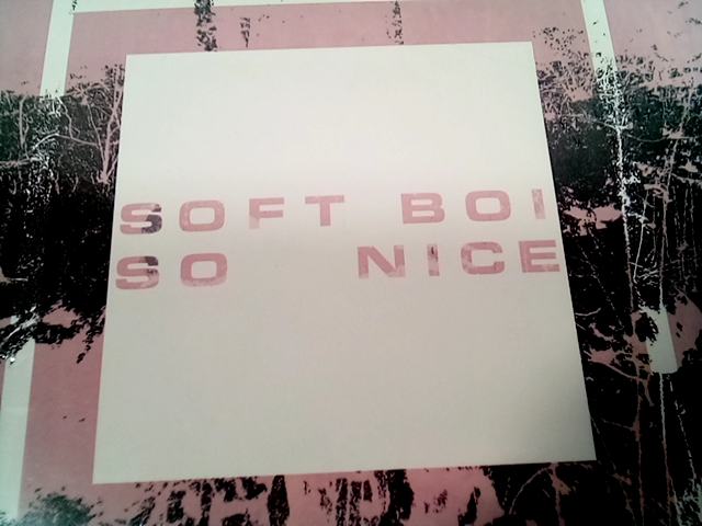 Soft boi so nice LP Vinyl