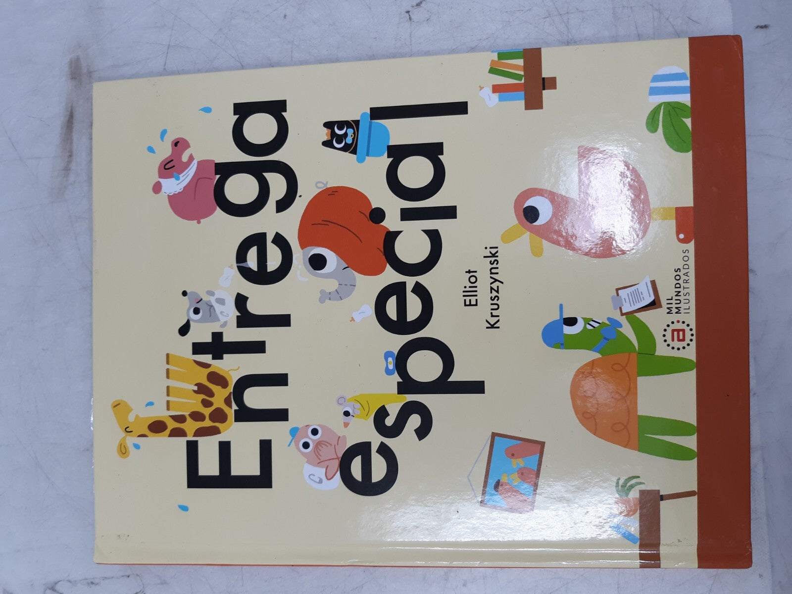 Entrega Especial by Elliot Kruszynski | Spanish Children’s Book | Akal Infantil
