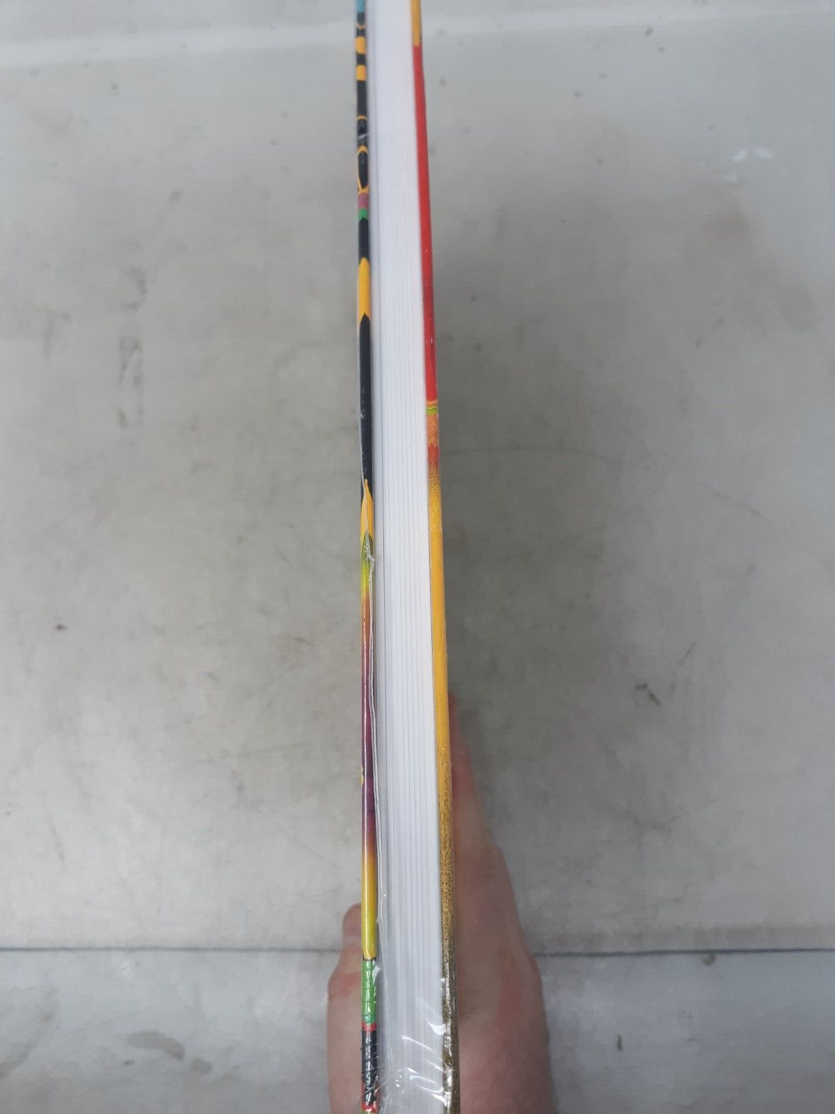 Eugenia Rendon De Olazabal: Photographs Through Time