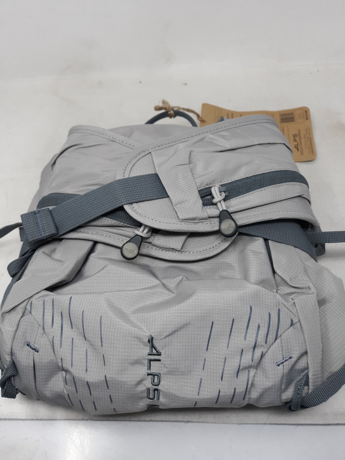 ALPS Mountaineering Canyon 20 L Backpack