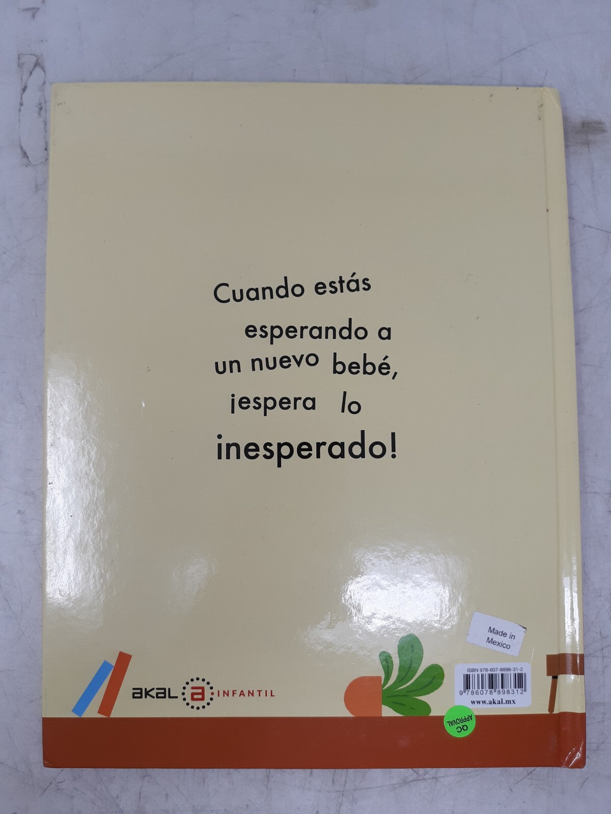 Entrega Especial by Elliot Kruszynski | Spanish Children’s Book | Akal Infantil