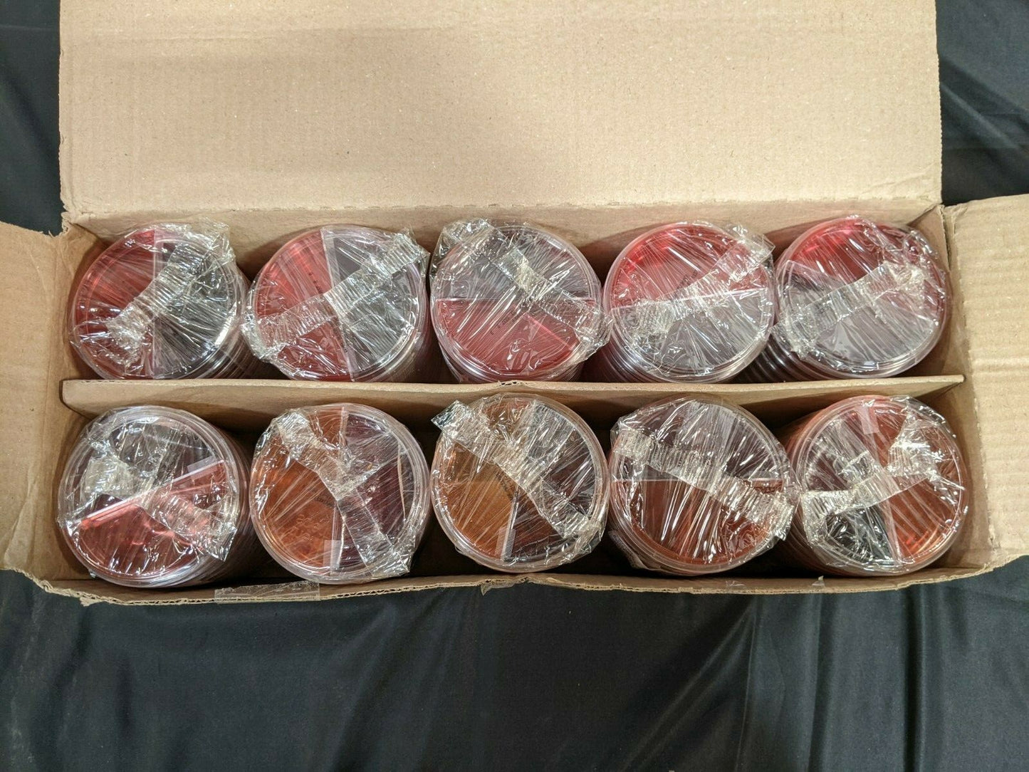 Case of 10 R02049 Scientific Remel Blood Agar Biplates - 352810