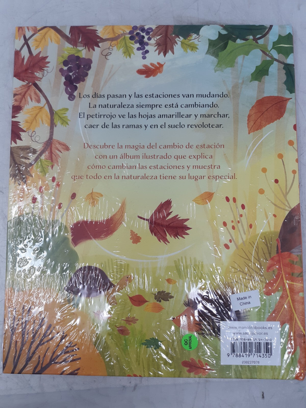 Otoño by Ester Tomé & Giulia Dragone | Spanish Children’s Book | Sassi
