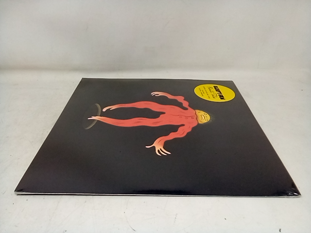 SLEEPY SUN - Private Tales - Vinyl