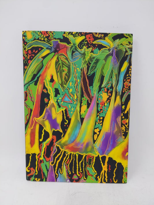 Eugenia Rendon De Olazabal: Photographs Through Time