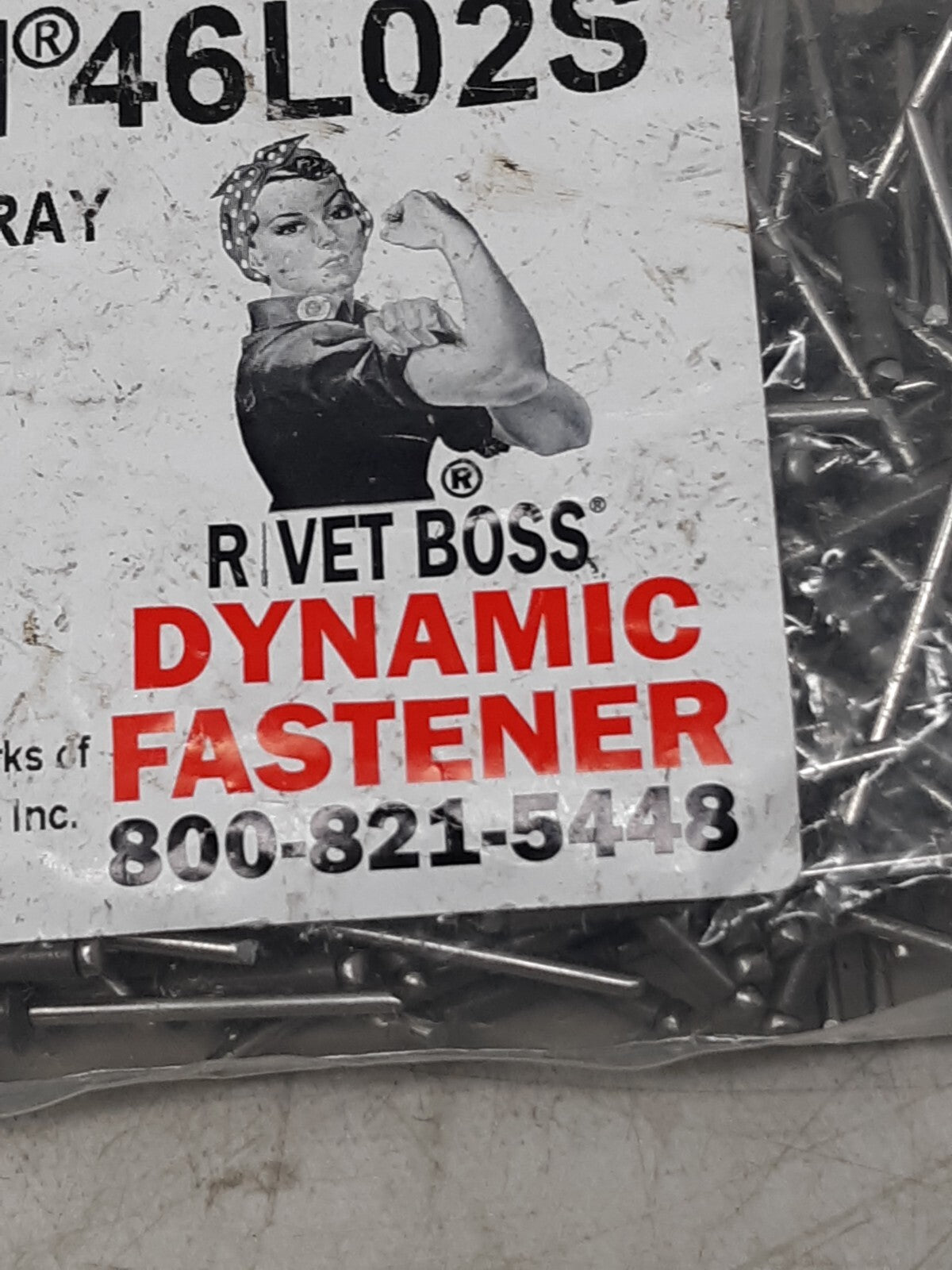 Dynamic Fastener PRNN46L02S Stainless Steel Rivets w/ Mandrel - 250 Pack