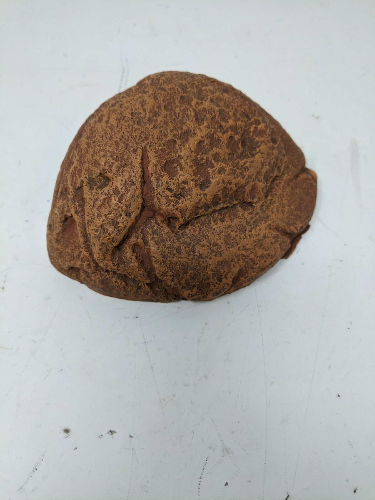 ZILLA SMALL ROCK DEN FOR AQUARIUM PETS